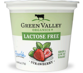 Lactose-Free Sour Cream  Green Valley Lactose Free