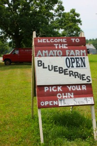Amato Farms Sign Blueberry Picking